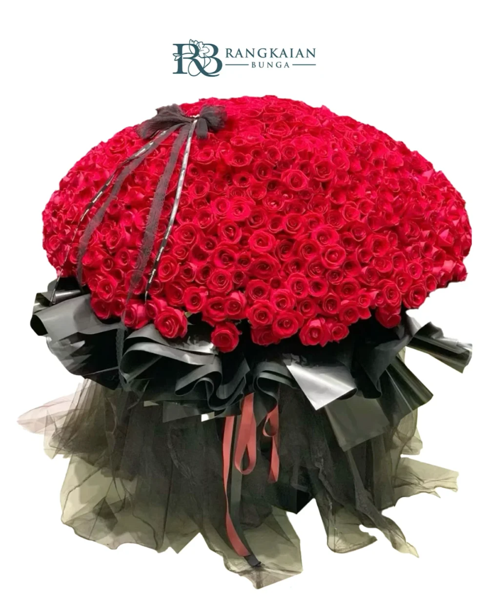 Huge 1000 Stem Roses